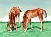 Mares and Foals, Equine Art - Grazing Buddies